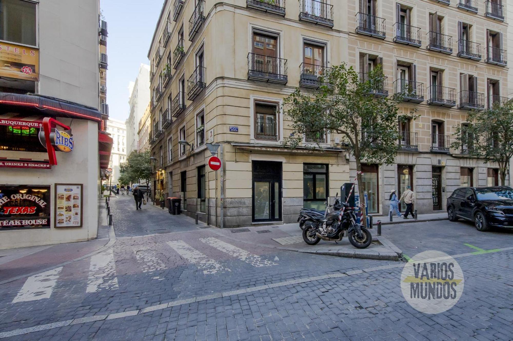 Deluxe Apt En El Centro De Madrid Para 9Pax E3 Bagian luar foto